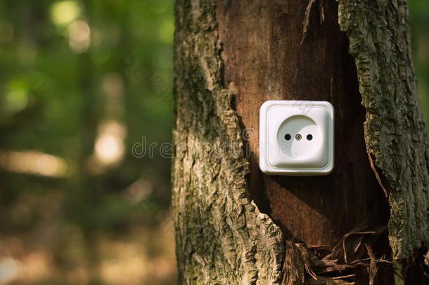 森林树木上的电插座。 绿色能源概念。
