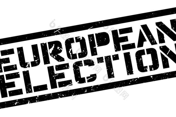 欧洲选举橡皮图章