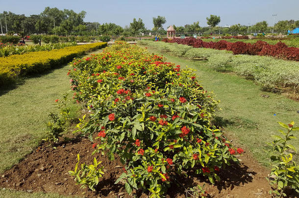 甘什乌迪安花园，科塔，拉贾斯坦邦