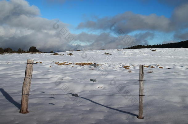 比利牛斯山脉雪景中的栅栏