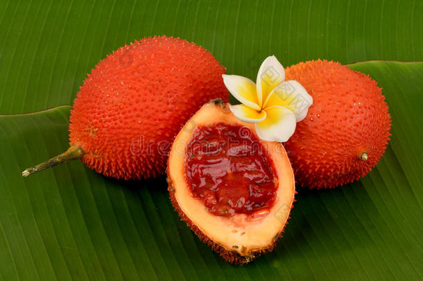 果，<strong>菠萝蜜</strong>，刺状苦瓜，甜葫芦或耳蜗葫芦，<strong>水果</strong>。
