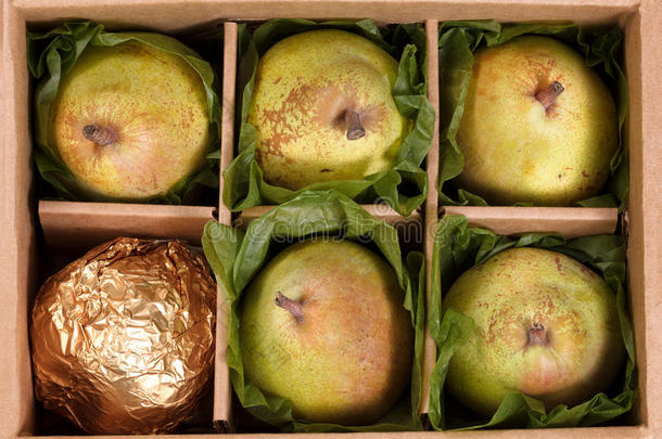 关闭成熟的梨礼物，包装在打开的盒子里，为假期准备