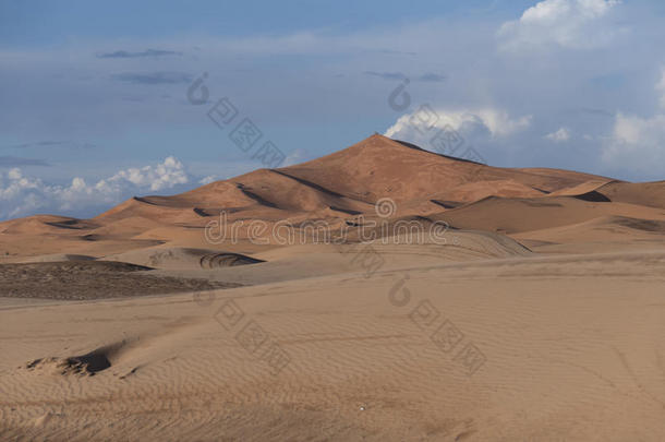 非洲阿拉伯的美丽的丰富多彩的沙漠