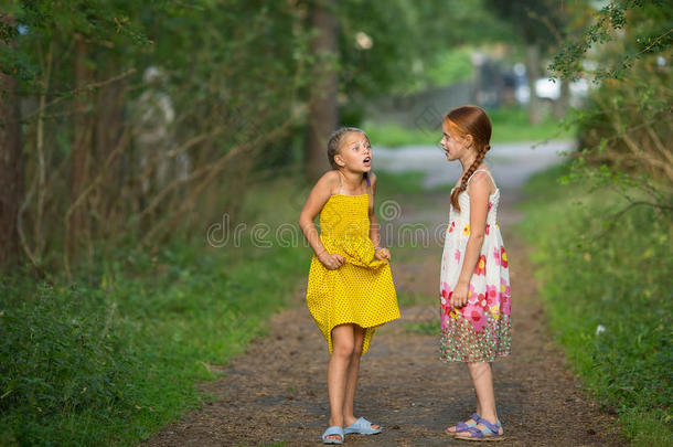 富有表现力的小女孩告诉她妹妹站在公园里。 散步。