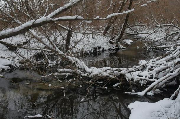 小溪在树林里自然，冬天的景观流水，小河在雪地里