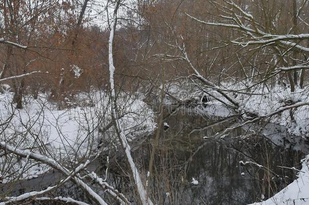 小溪在树林里自然，冬天流水，<strong>风景小河</strong>在雪地里