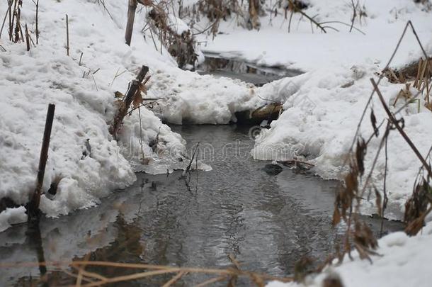 小溪在树林里冬天流水，大自然小河在雪景中