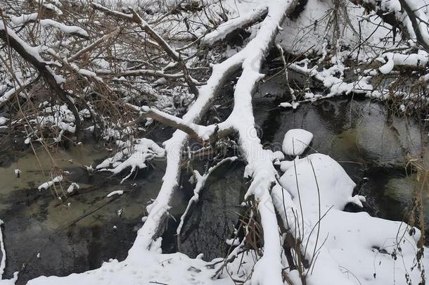 小溪在树林里自然，冬天流水，<strong>小河</strong>在<strong>风景</strong>中雪