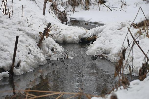 小溪在树林里冬天流水，大自然小河在雪景中