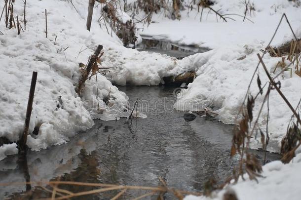 小溪在树林里冬天流水，大自然小河在雪景中