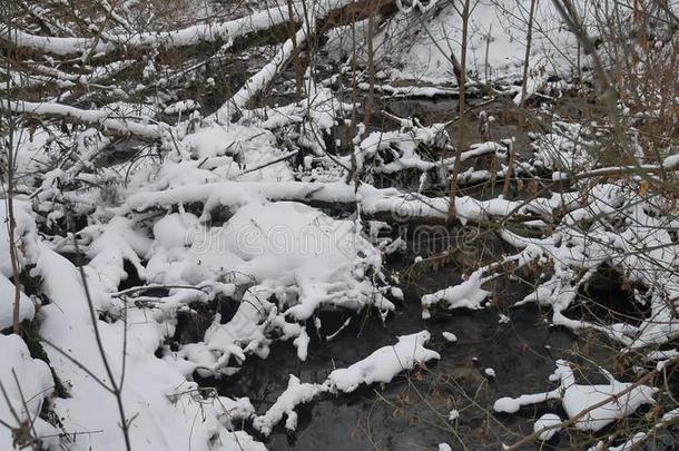 小溪在树林里风景自然冬天流水，小河在雪中