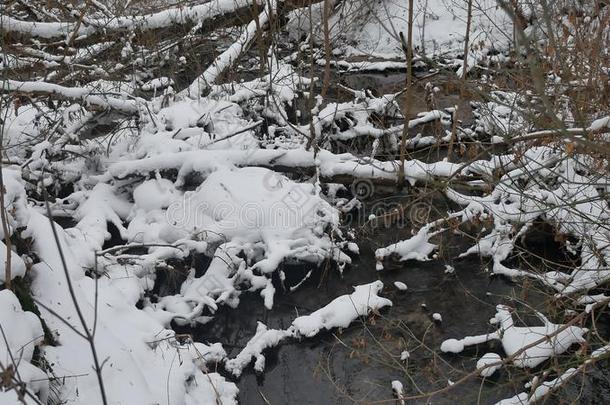 小溪在树林里<strong>风景</strong>自然冬天流水，<strong>小河</strong>在雪中