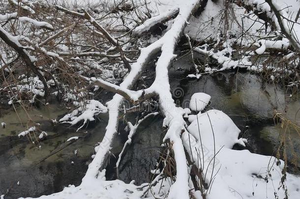 小溪在树林里自然，冬天流水，小河在风景中雪