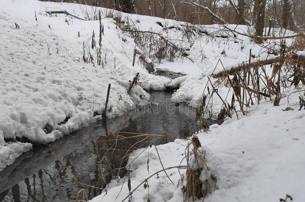 小溪在树林里冬天自然流水，小河在雪地里景观