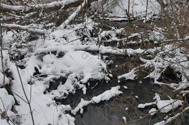 小溪在树林里风景自然冬天流水，小河在雪中