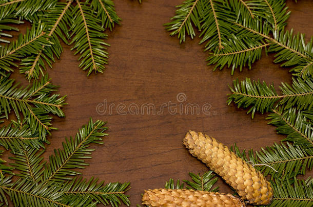 木质背景上的圣诞青松云杉树枝