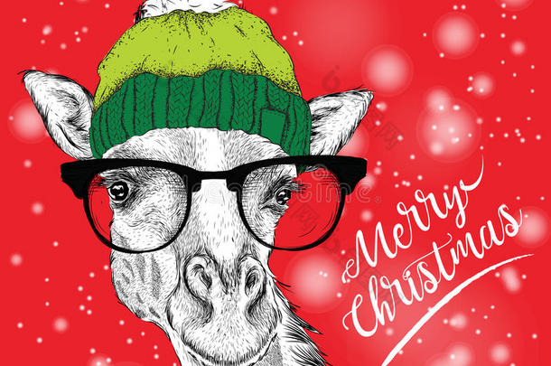 带长颈鹿的圣诞卡戴着冬帽。 圣诞快乐字体设计。 矢量插图