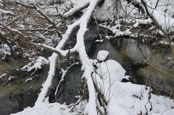 小溪在树林里自然，冬天流水，小河在风景中雪