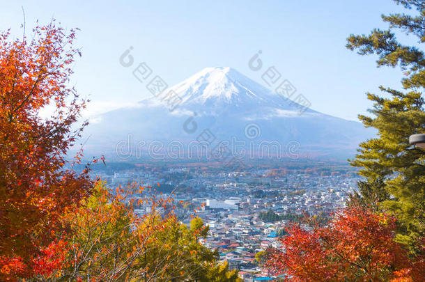 秋天季节富士山美丽的景观景观