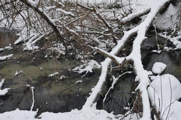 小溪在树林里自然，冬天流水，<strong>小河</strong>在<strong>风景</strong>中雪