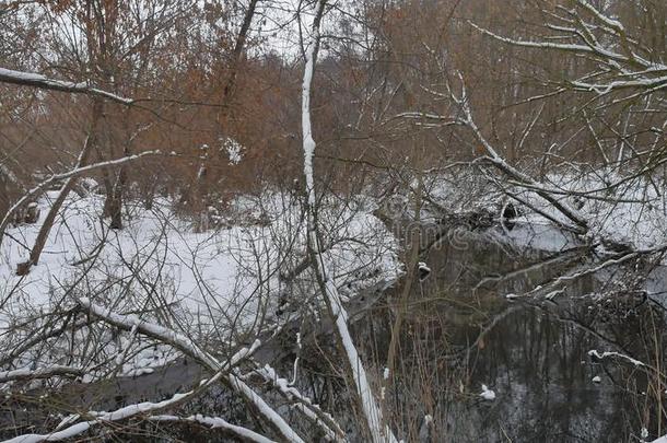 小溪在树林里自然，冬天流水，<strong>风景小河</strong>在雪地里