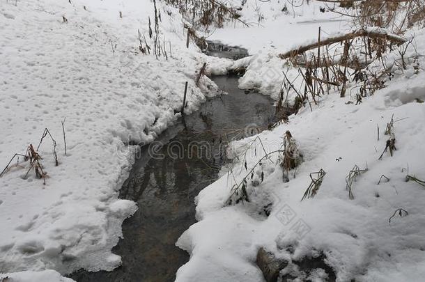 小溪在树林里冬天流淌着大自然的水，小河在雪地里风景如画