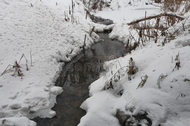 小溪在树林里冬天流淌着大自然的水，<strong>小河</strong>在雪地里<strong>风景</strong>如画