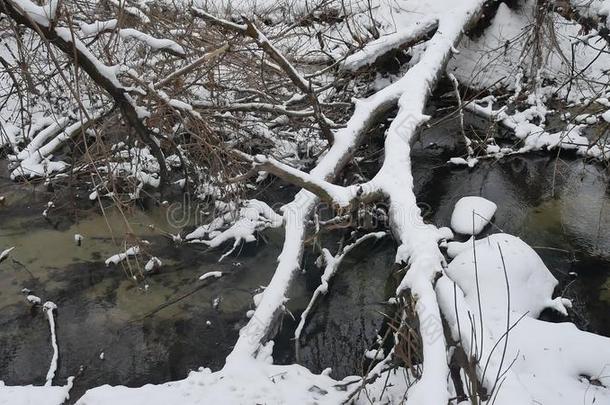 小溪在树林里自然，冬天流水，<strong>小河</strong>在<strong>风景</strong>中雪