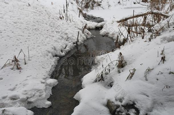 小溪在树林里冬天流淌着大自然的水，小河在雪地里风景如画