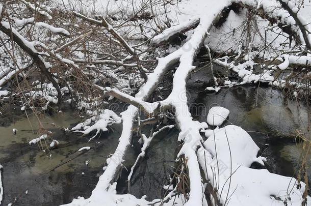 小溪在树林里自然景观冬天流水，小河在雪中