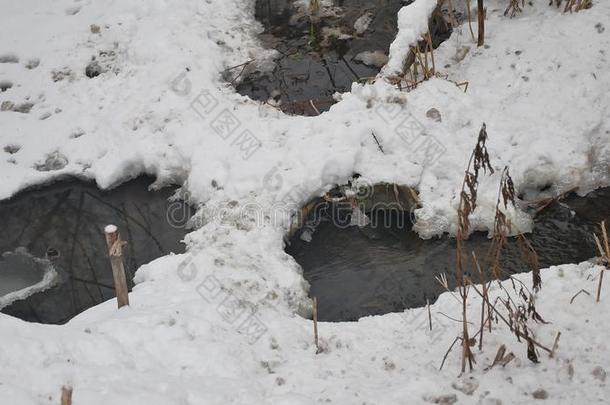 小溪在树林里自然，冬天流水，小河在雪地里