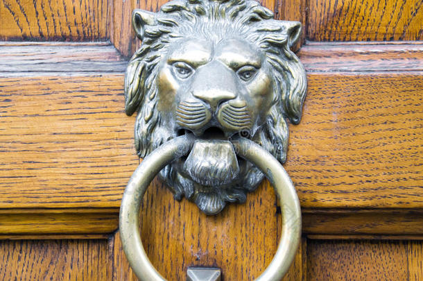 金狮头敲着一扇旧木门