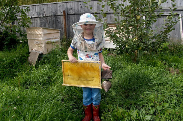 农业养蜂场蜂巢养蜂人养蜂