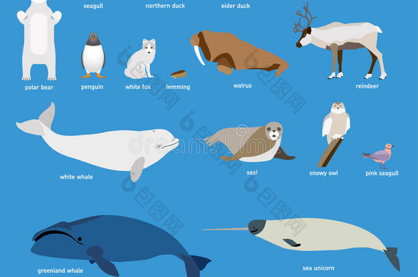 北极的动物。 极地哺乳动物和鸟类的矢量集。