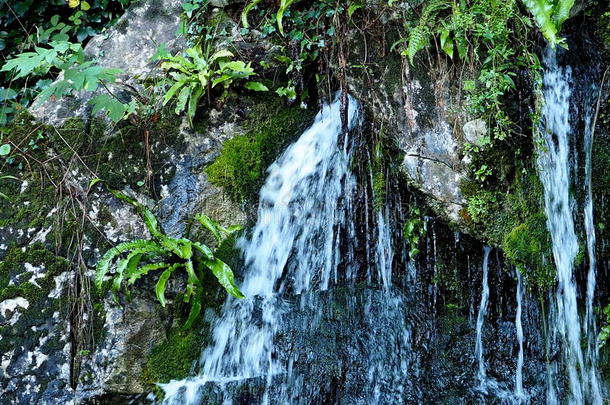 布拉尼城堡瀑布蕨类植物爱尔兰
