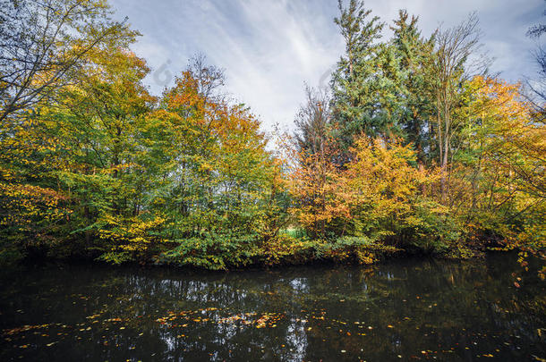 秋天的风景与五颜六色的树木在秋天