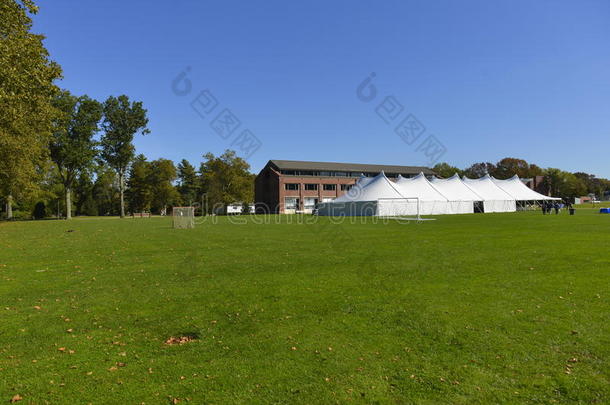 蓝天大学体育场地活动的空草。 大学校园绿色森林领域。