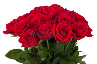 一束新鲜的情人节红玫瑰图片