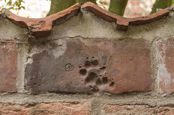 卢贝克面包房走廊砖墙上的动物指纹