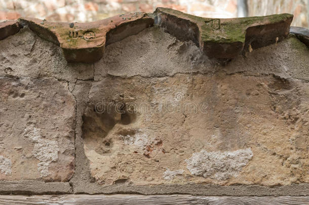 卢贝克面包房<strong>走廊</strong>砖墙上的动物指纹