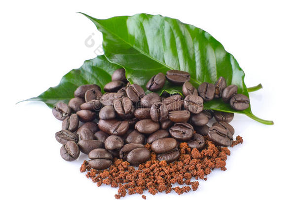 咖啡豆，速溶咖啡和树叶