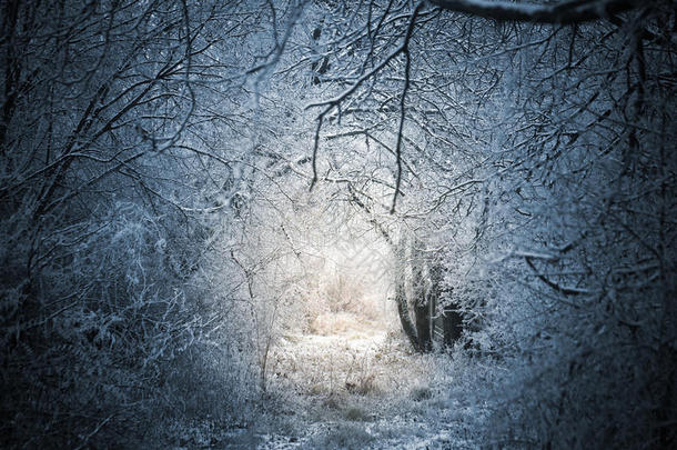 童话般的冬季森林小径