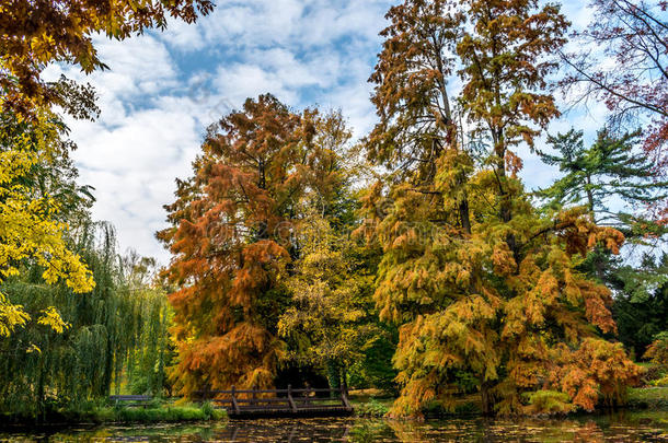 美丽的景色在布拉迪斯拉发公园湖，深秋