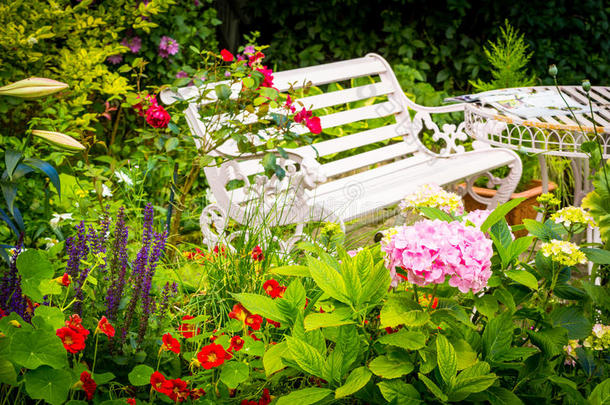 美丽，浪漫，家庭花园与各种盛开的花朵，夏季