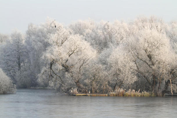 冰湖和霜树的冬天场景。