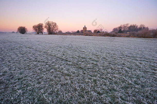 晨光中有霜的草