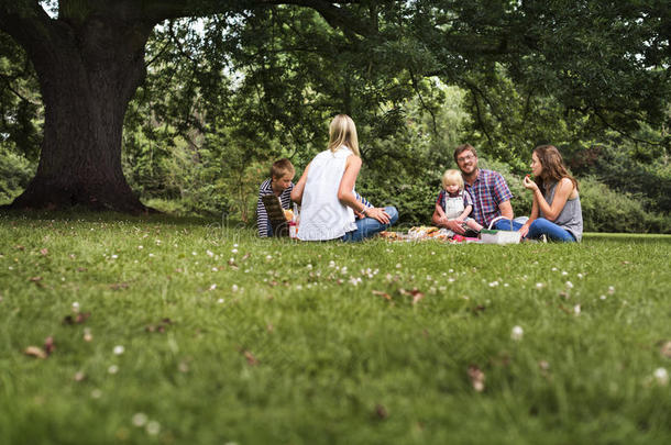 家庭世代野餐聚会放松概念