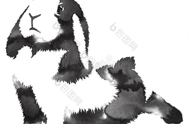 黑白单色绘画用水和墨水画兔子插图