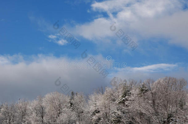 新罕布什尔州南部山区明亮的初冬