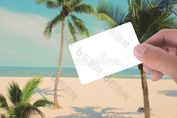 手持空白卡在海滩应用程序上的椰子树图片